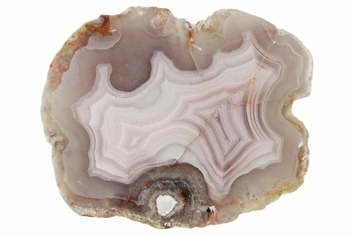 Polished Banded Laguna Agate - Mexico #192969